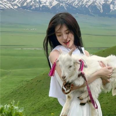 芝加哥烈焰第十三季