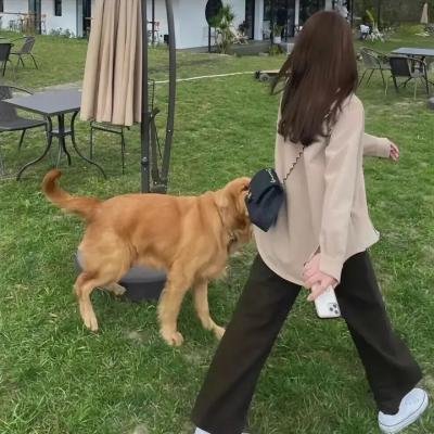 盗命兄弟
